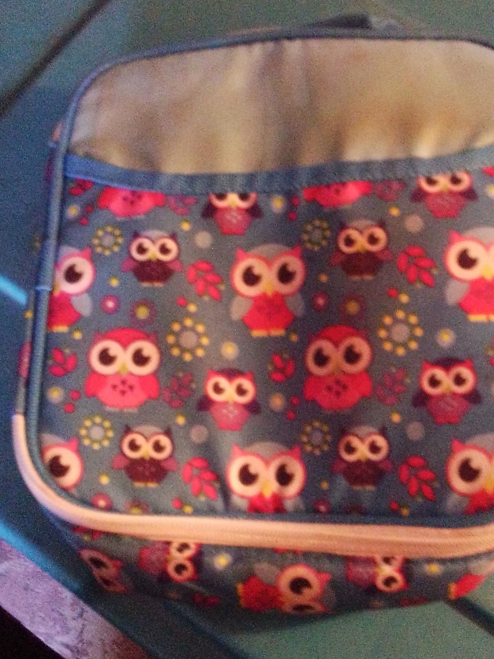 Blue Owl-Print Women’s Crossbody Bag - Pink & Blue